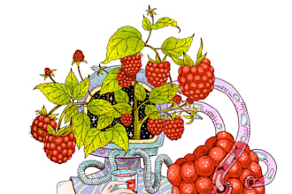 make a creative illustration for packaging, tshirt, nft