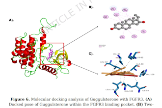 perform docking virtual screening and molecular dynamics simulation
