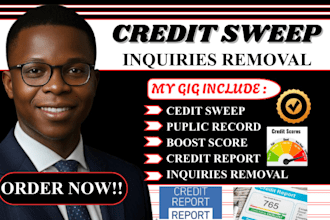 guide you to remove inquiries and late payments for credit score improvement