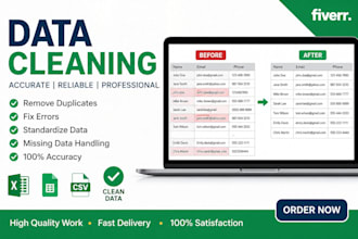 do data cleaning, data formatting, and excel data cleanup professionally