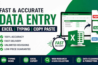 do fast data entry, excel and typing  1 to 24hr rush delivery