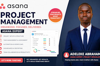 setup asana workflows, integrations and automation, and asana consultant