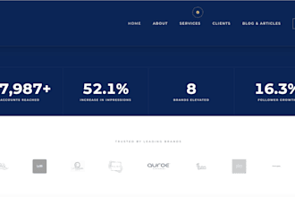 build a professional e commerce website with product catalogue and payment setup