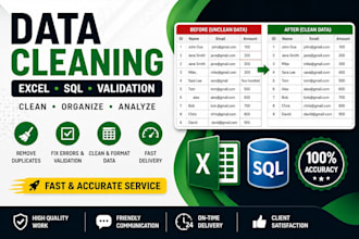 data cleaning, validation and sql analysis professional