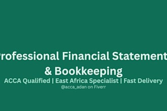 prepare professional financial statement and bookkeeping for your business