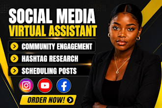 manage and grow your instagram, facebook , youtube as a virtual assistant