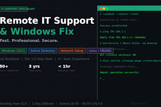 fix your windows problems and provide remote IT support
