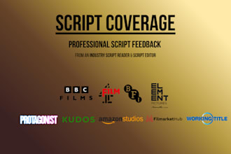 provide industry standard feedback for your script