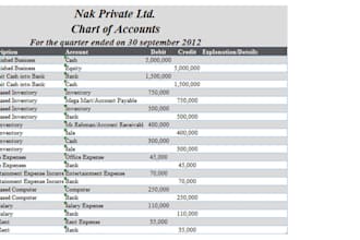 perform us gaas, gaap audits and prepare ifrs, gaap financial statements