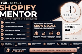 be your shopify dropshipping mentor shopify manager VA store audit and marketing