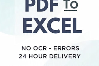 do pdf to excel conversion, image to text typing, data entry in 24 hours