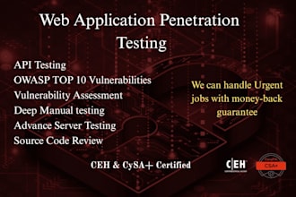 perform manual and automatic penetration testing for your website with report
