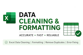 clean and format large or complex excel datasets