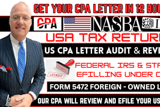 e file USA individual and llc tax returns under CPA ea ptin