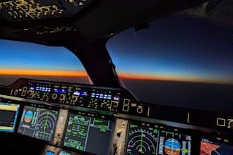 be your flight instructor for ifr procedures and radio communications
