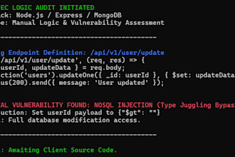 perform a manual security logic audit of your backend