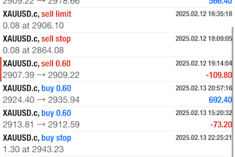 build profitable forex trading bot, forex ea robot, forex trading bot