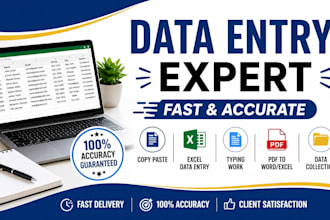do accurate data entry, typing, copy paste and excel work