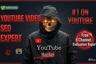 provide expert youtube video SEO service