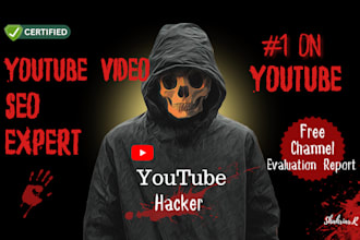 provide expert youtube video SEO service