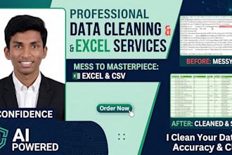 data cleaning in excel