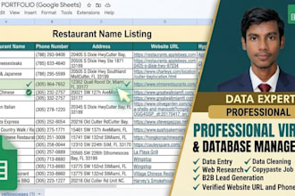 do professional b2b lead generation and data entry tasks