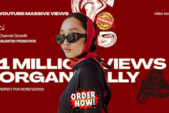shoutout organic USA youtube channel video SEO promotion 1 million people views