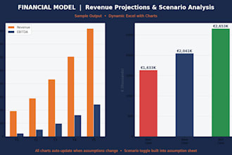build a professional financial model with projections and cash flow