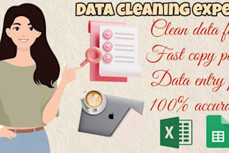 clean, organize, format, and fix messy excel or google sheets data