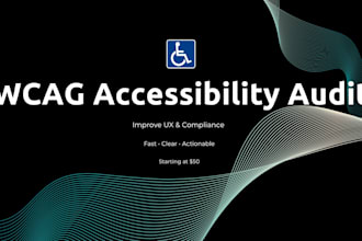 do a professional wcag accessibility audit for your website