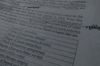 professionally proofread and edit any document