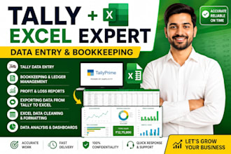 do tally data entry bookkeeping and excel dashboard