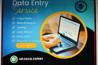 provide expert data entry and web research services
