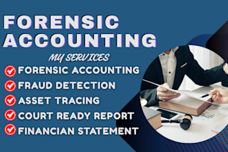 do forensic accounting, fraud detection, asset tracing reports, forensic report