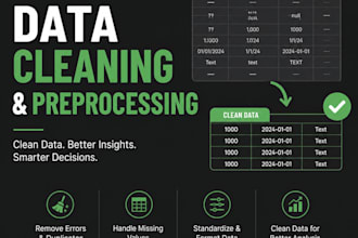 do data cleaning and preprocessing expert