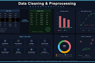 data cleaning and preprocessing expert