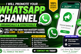 do organic whatsapp channel promotion