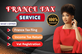 handle france tax filing, french tax return, urssaf vat france, tax consultant