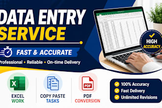 do fast and accueate data entry, copy paste and exel work