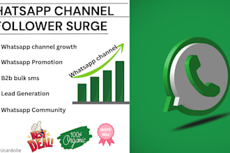 drive high quality leads to whatsapp channel,api tick,green badge,targeted subs