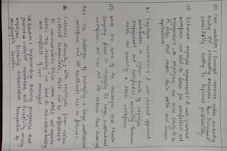 write neat and handwritten assignments and notes