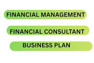 do financial consultation, financial modeling