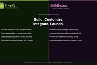build and customize your shopify or odoo ecommerce and dropshipping store