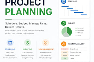 plan your project timeline, budget, and risk management strategy
