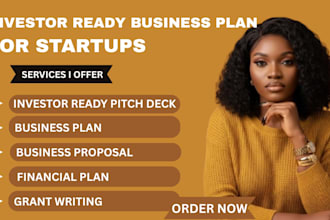 write investor ready business plan and financial plan for startups