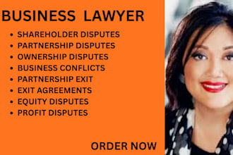 handle shareholder disputes, ownership conflicts and partnership exit cases