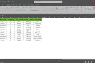 do professional data entry, excel data cleaning and auditing