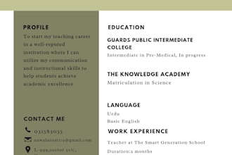 design a professional and modern resume or CV