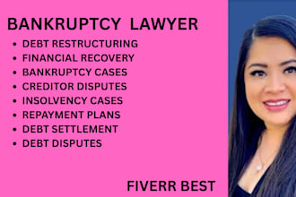 handle bankruptcy cases, debt disputes, insolvency, and financial recovery cases