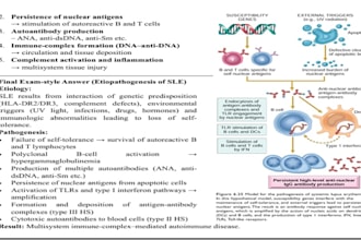 make concise and high quality medical articles and notes